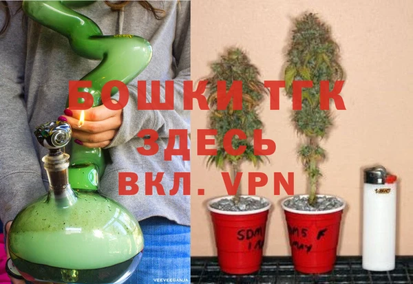 стафф Вяземский