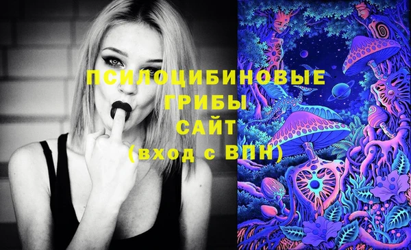 спайс Вязьма